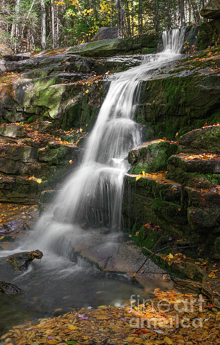 Waterfall Photographs