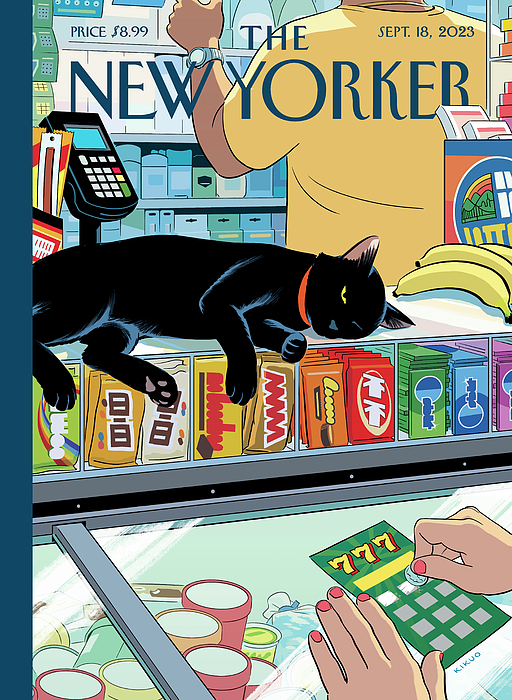 Bodega Cat by R Kikuo Johnson
