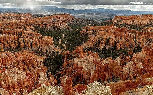 Bryce Canyon National Park Photographs