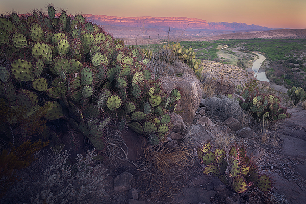 Big Bend National Park Art