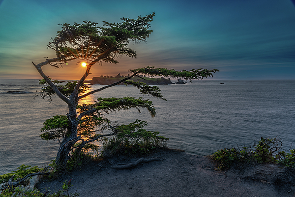 Olympic National Park Photographs
