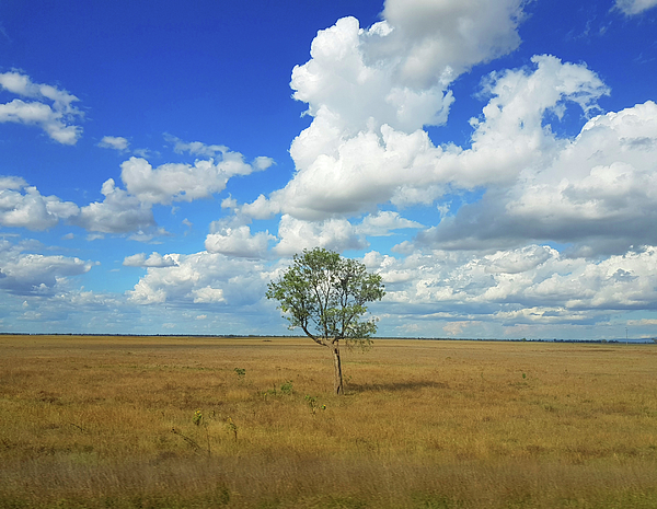 Sky Photographs