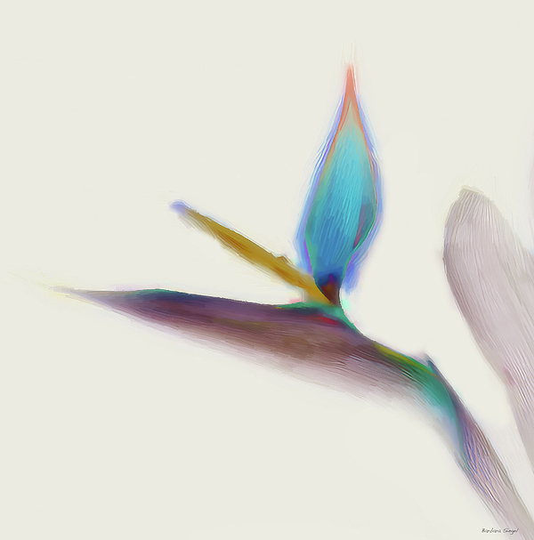 Bird Art