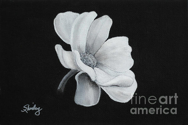 Black And White Paintings