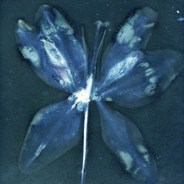 Ethereal Photographs