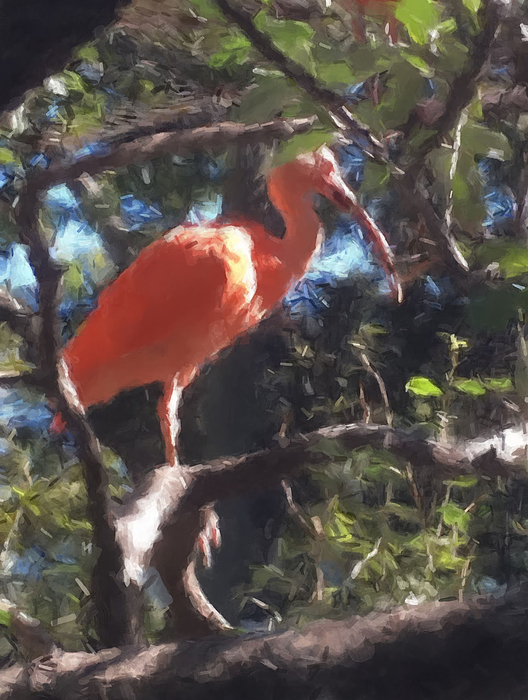 Flamingo Paintings