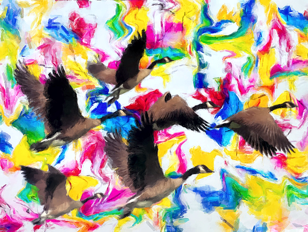 Goose Paintings