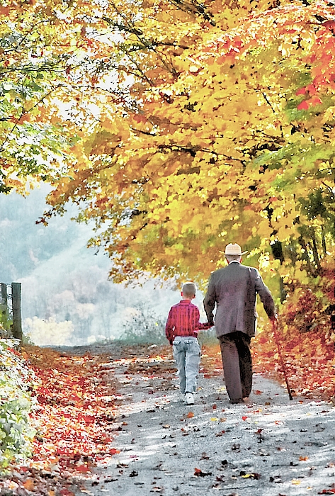 Fall Photographs