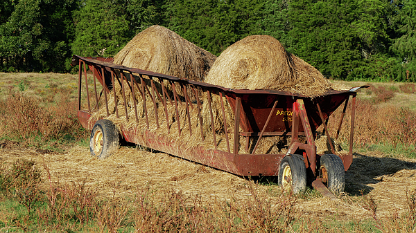 Country Art