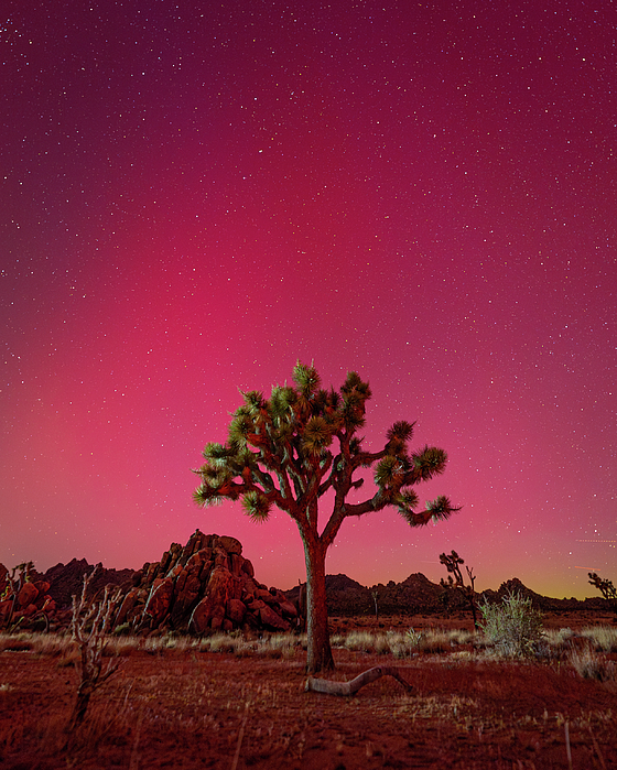 Landscape Photographs