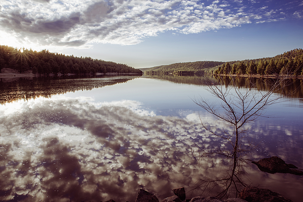 Reflection Art