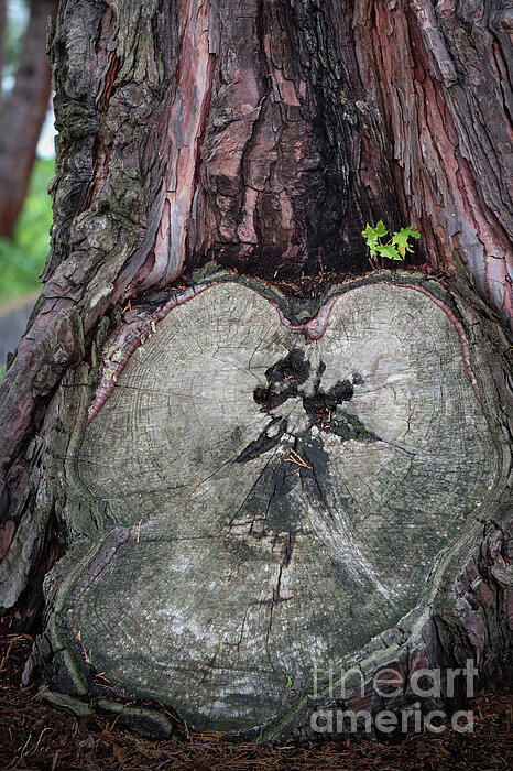 Love Art