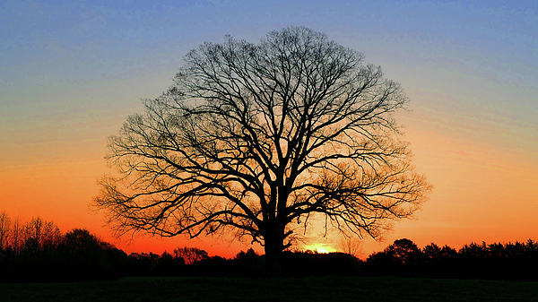 Sunrise Photographs