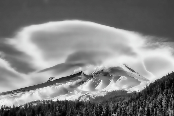 Oregon Art