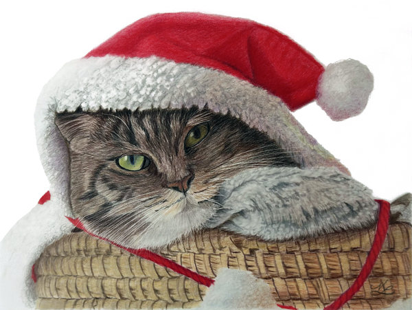 Cat Art