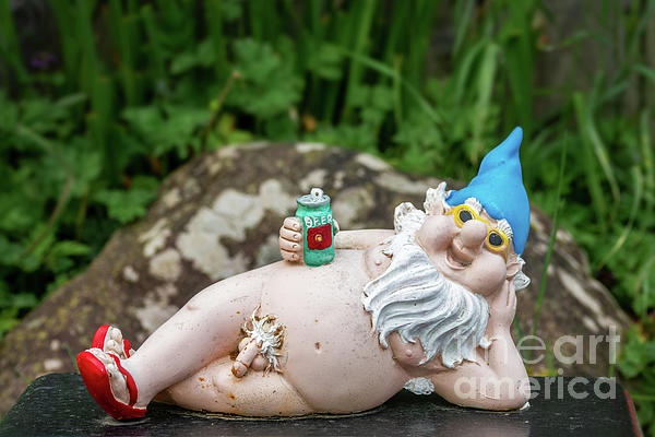Naughty garden gnome Jigsaw Puzzle by Delphimages Photo Creations