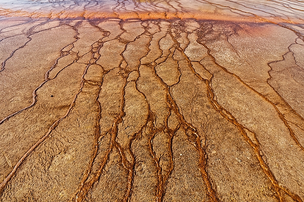 Yellowstone National Park Art