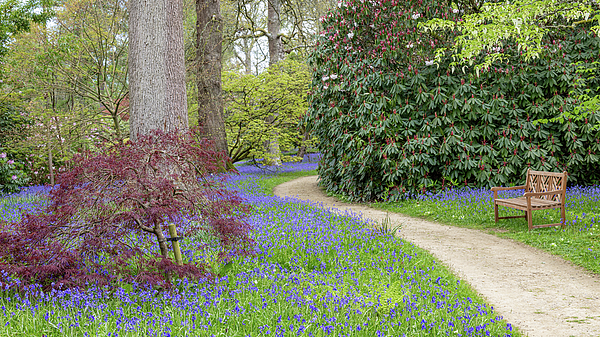 Spring Art