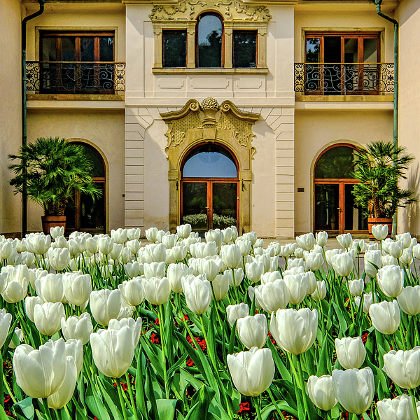 Architecture Photographs