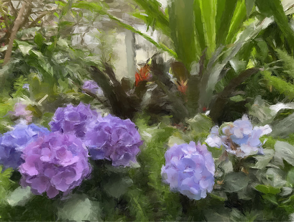 Garden Paintings