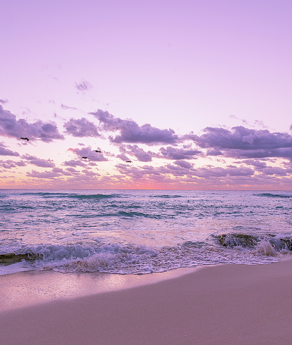 Sunset Art