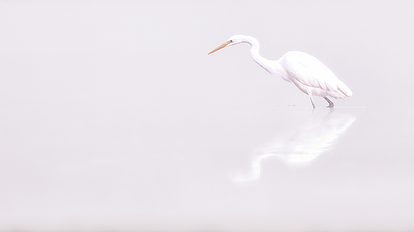 Reflection Photographs