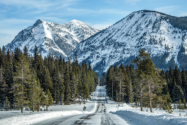 Yellowstone National Park Photographs