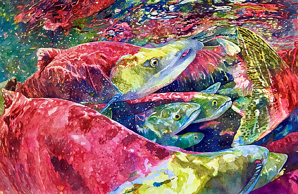 Fish Paintings
