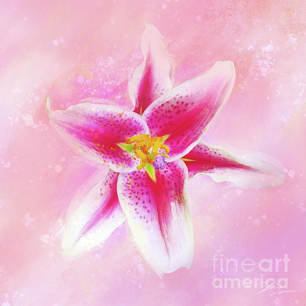 Stargazer Lily Tapestry by Shari Warren - Shari Warren