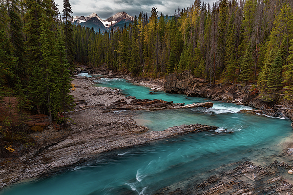 National Parks Art