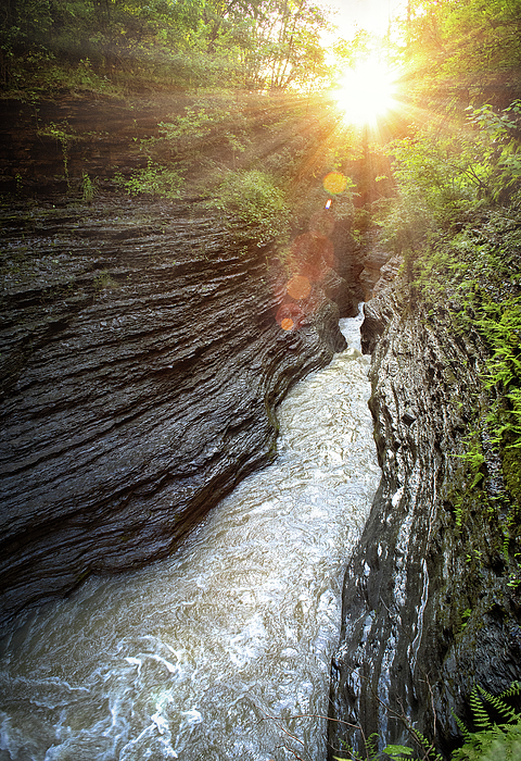 Sunrise Photographs