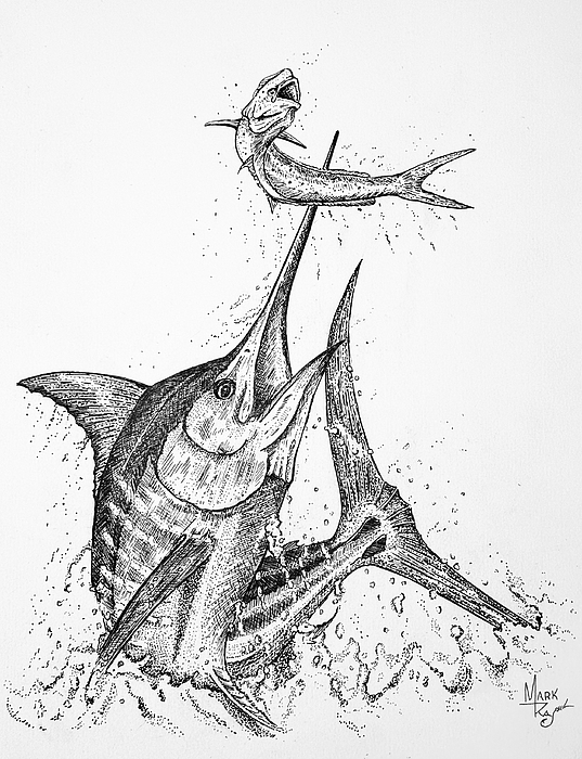 Wildlife Paintings