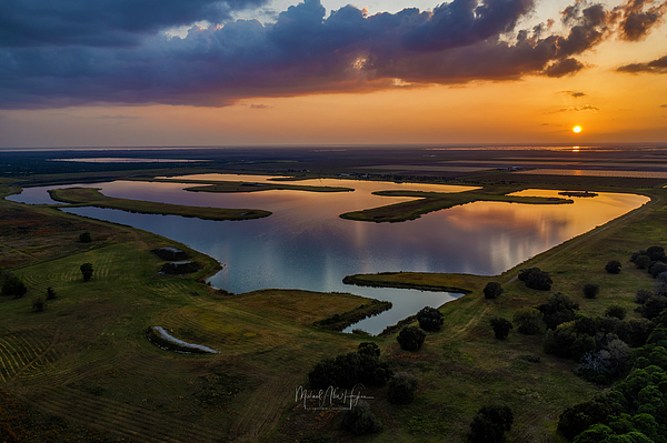 Palm Bay Art