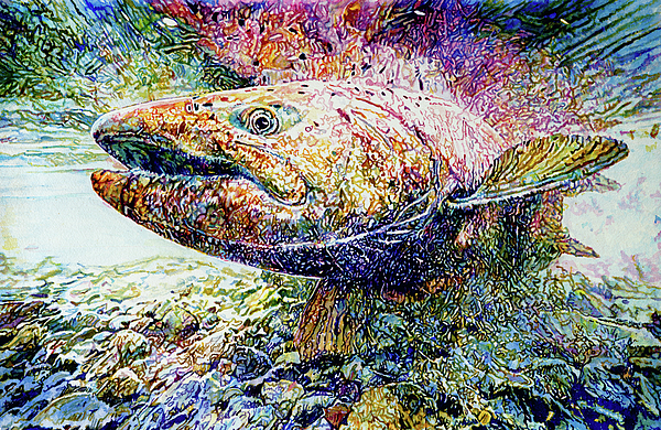 Salmon Paintings