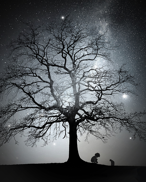 Landscape Photographs