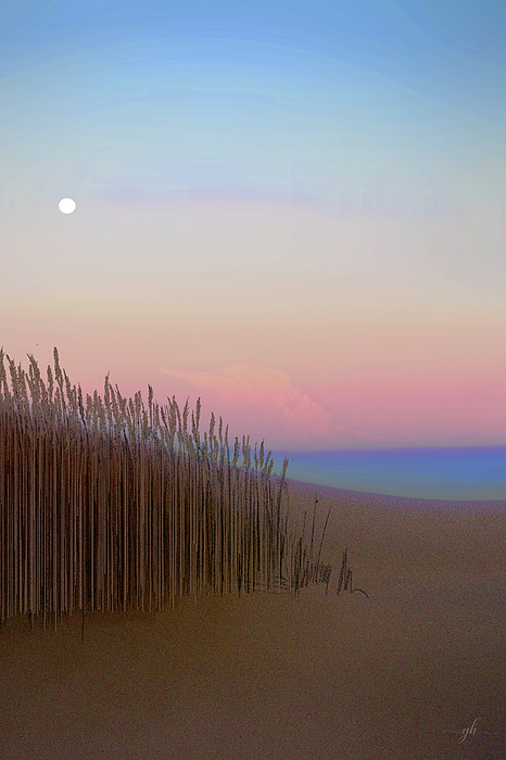 Sky Digital+art