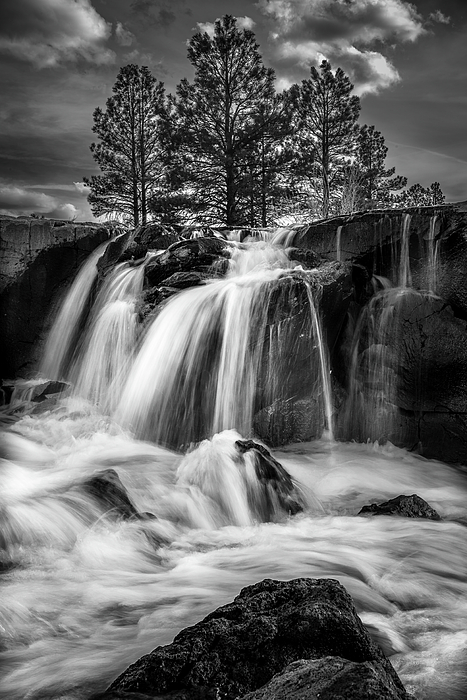 Black And White Photographs