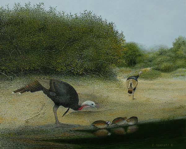 Turkey Art