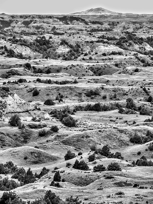 Landscape Photographs