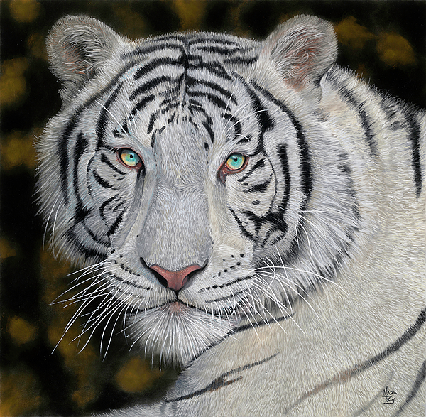 Majestic Art