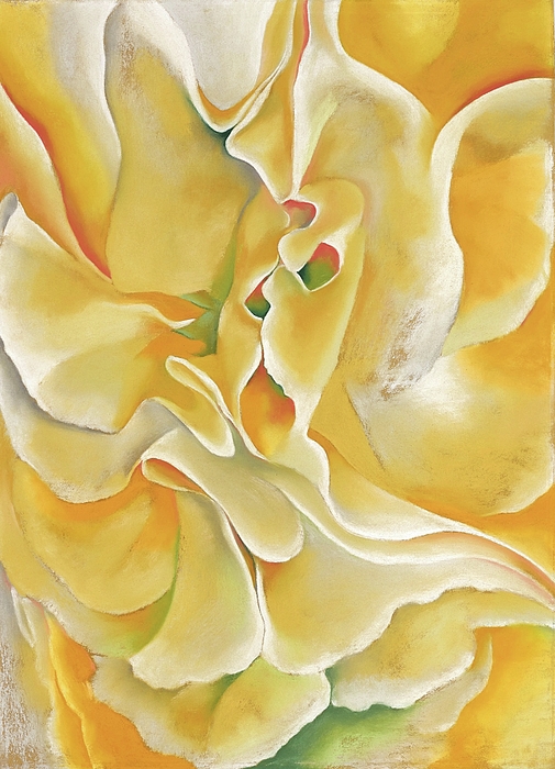 yellow-sweet-peas-modernist-