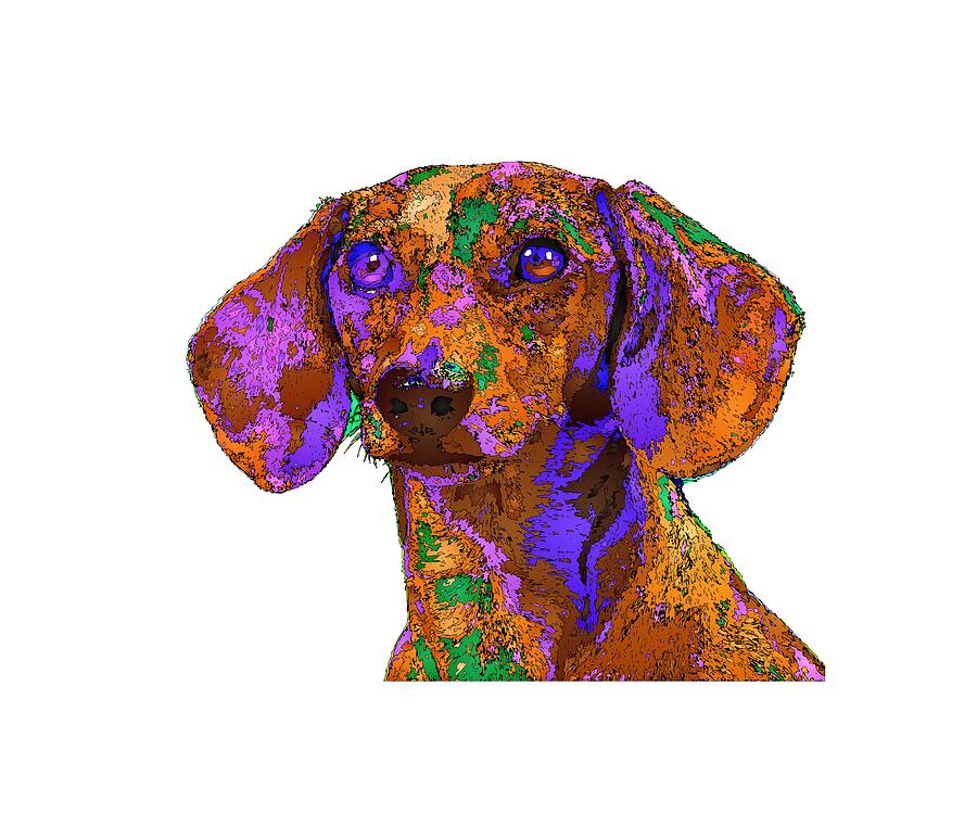 Chloe. Pet Series #1 Digital Art by Rafael Salazar