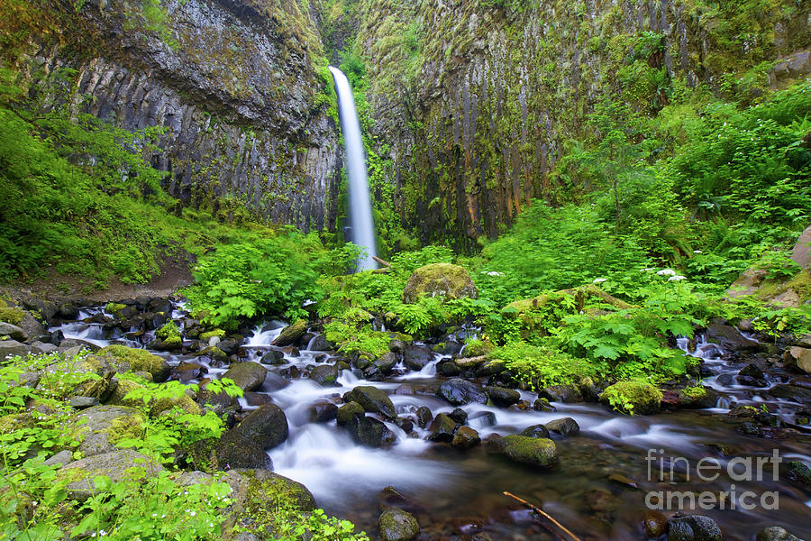 Dry Creek Falls #1 Photograph by Bruce Block