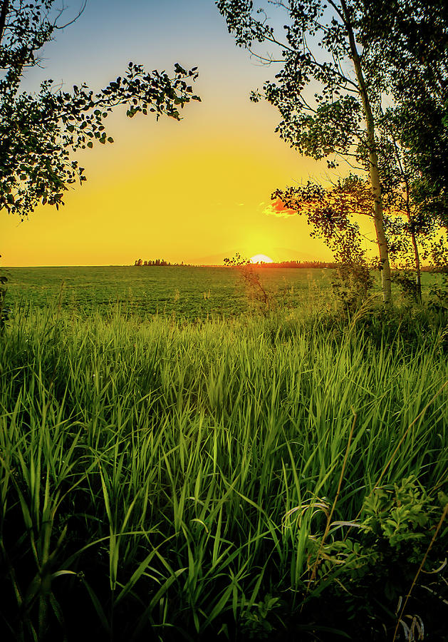 Serenity #1 Photograph by Thomas Nay