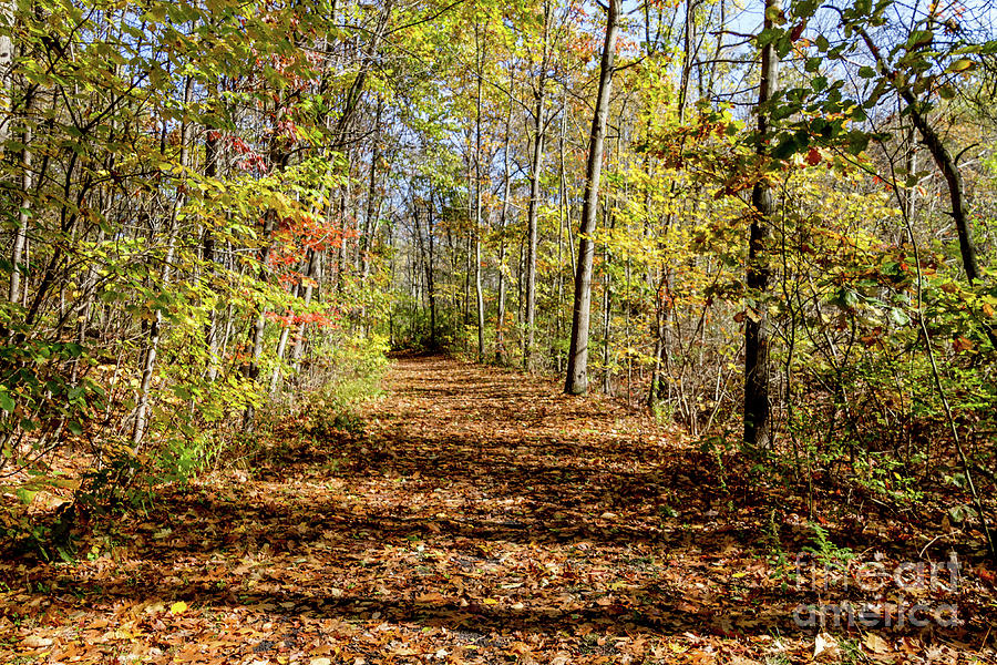 The Outlet Trail #1 Photograph by William Norton