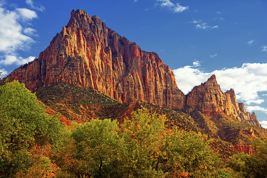 The Watchman #1 Photograph by Raymond Salani III