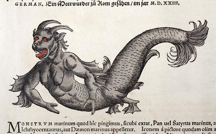 Science Gesner 1560 Gesner Mermaid Sea Monster by Paul D Stewart / Science Photo Library