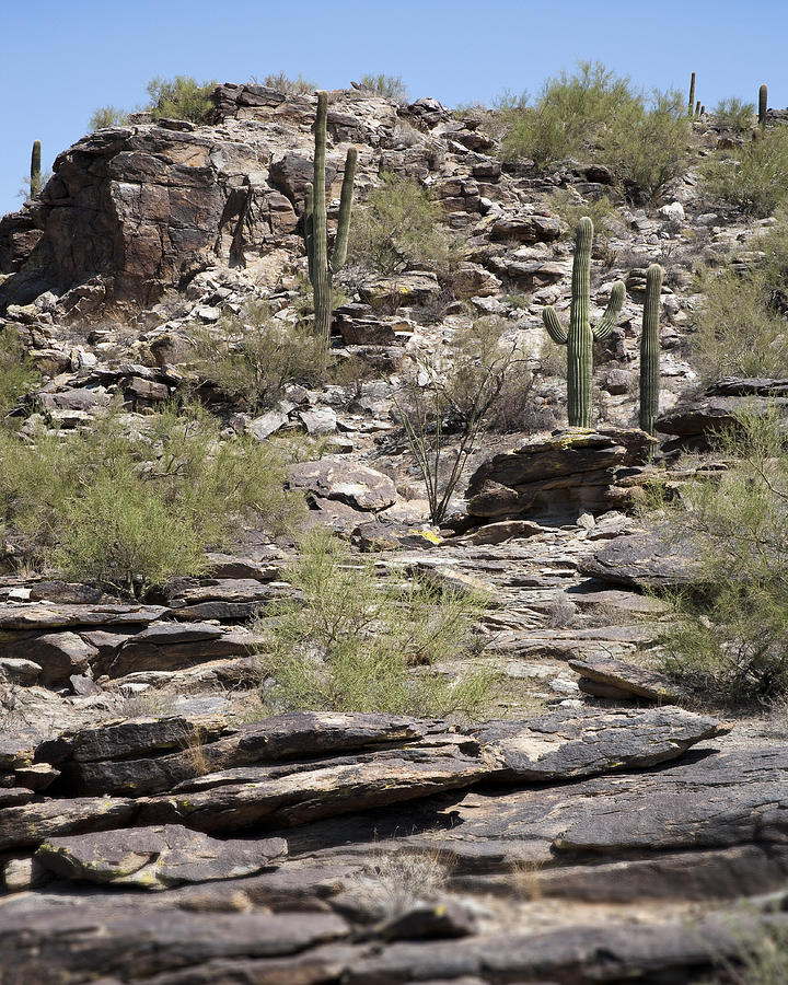 Desert Southwest #2 Photograph by Kelley King