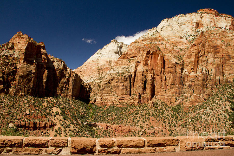 Zion Park Utah Photograph by Waterdancer