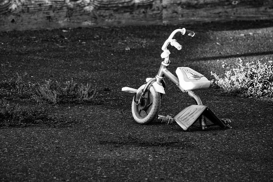 A Sad Story Photograph by Mary Lee Dereske